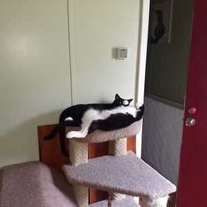 Meet your Posher, Annette